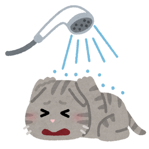 pet_ofuro_kirai_cat