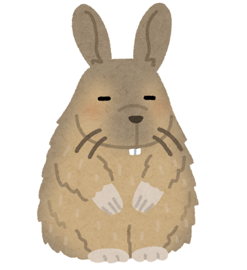 animal_viscacha