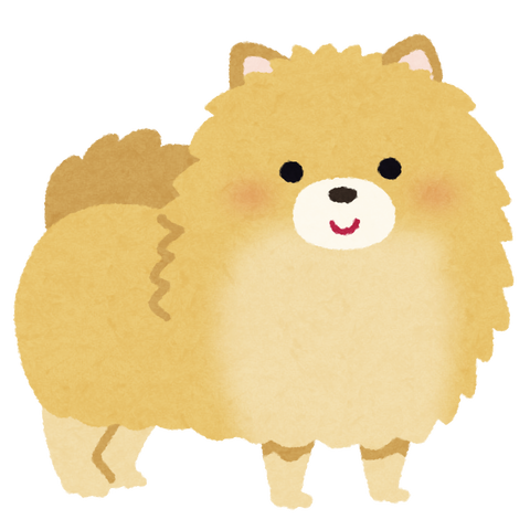dog_pomeranian