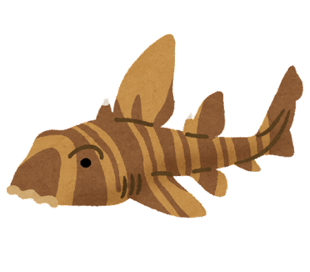 fish_same_nekozame