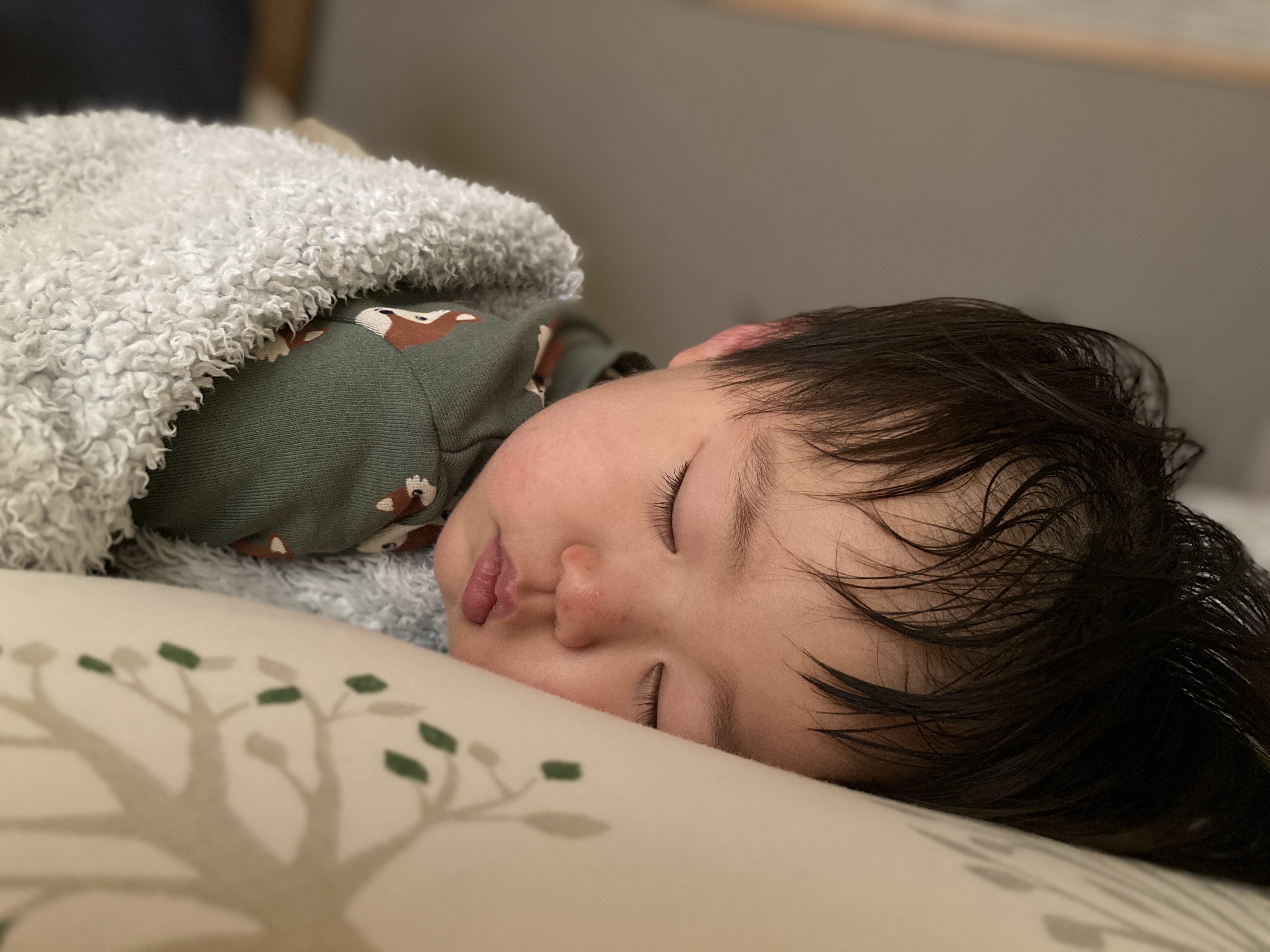 息子の寝言 これが我が家の生きる知恵 息子の寝言 これが我が家の生きる知恵