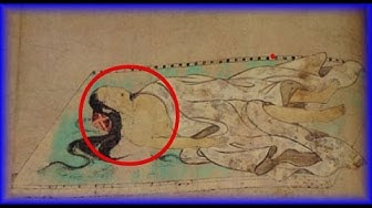 一騎当千7のblog 死体農場 ってあるの知っていますか 人骨を食べるシカの存在も知っていますか 一騎当千7のblog 死体農場 ってあるの知っていますか 人骨を食べるシカの存在も知っていますか