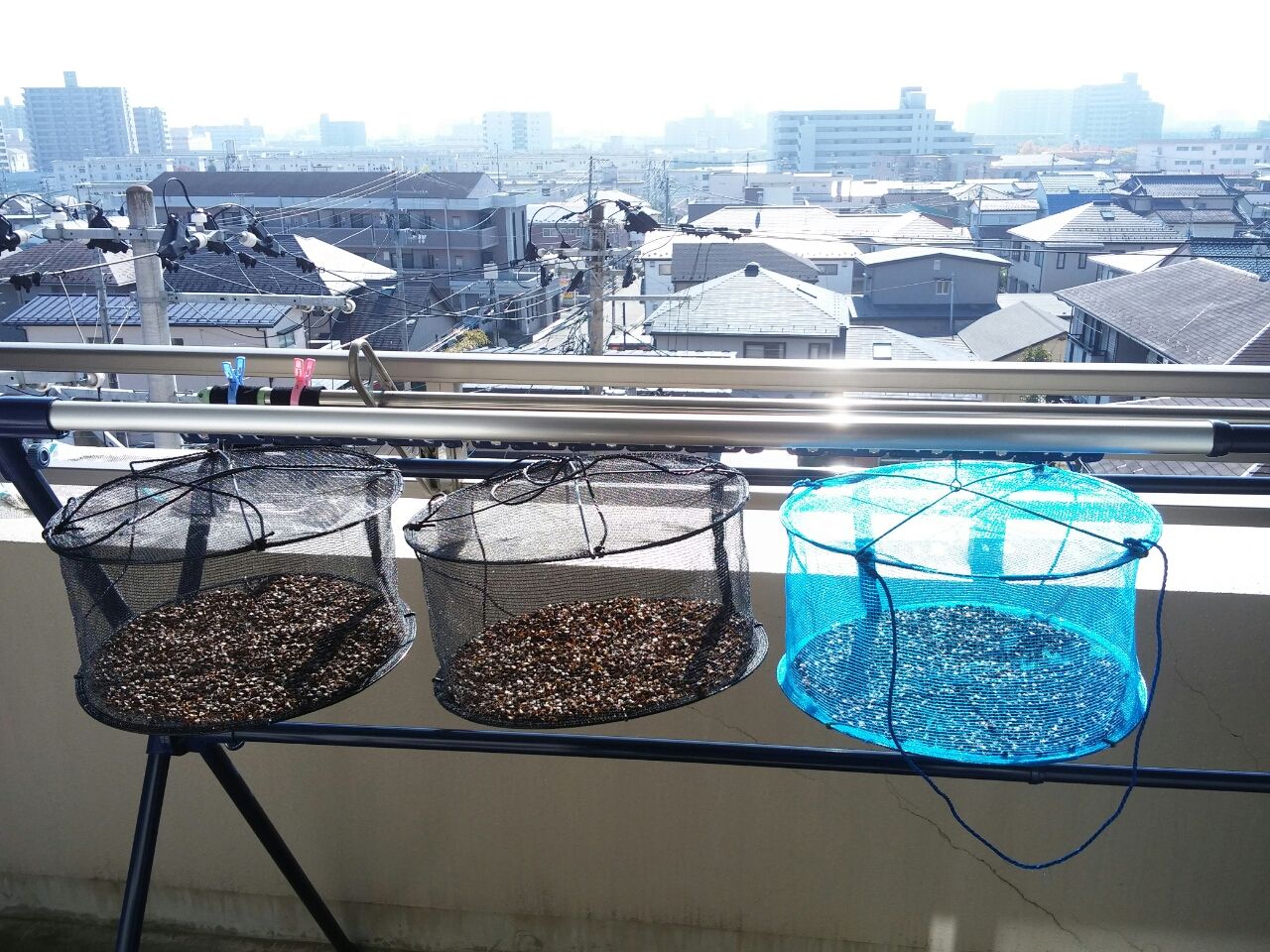 ベランダでうとうと おんちゃんの休日 ベランダでうとうと おんちゃんの休日
