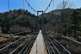 3.29----1-1吊り橋