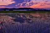6.24----日没後の夕焼雲