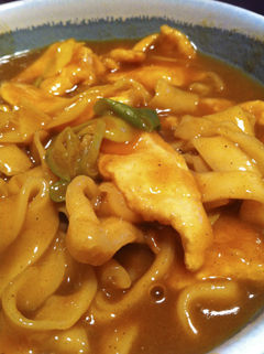110219curryudon