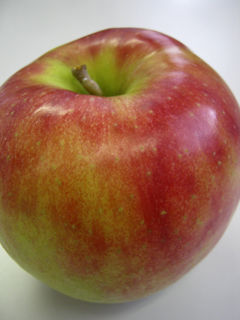 101025apple