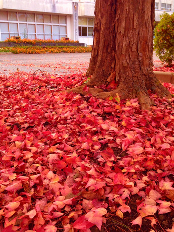 2014-10-27-15-33-56