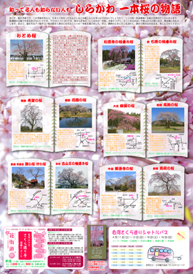 090325can04b