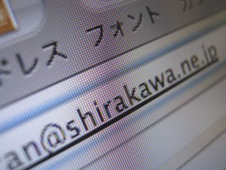110222shirakawanejp