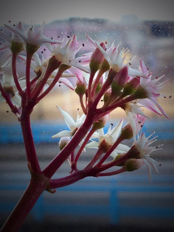 2014-03-22-13-12-15