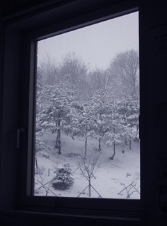 090227sekisetsu