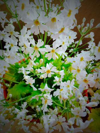 2016-03-26-17-45-55