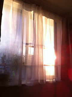 101231tasogare