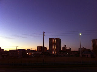 101129morning