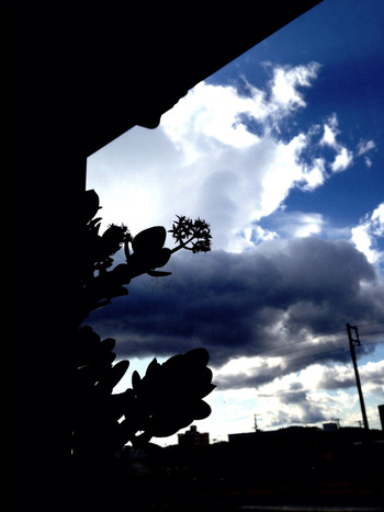 2014-03-21-08-40-36