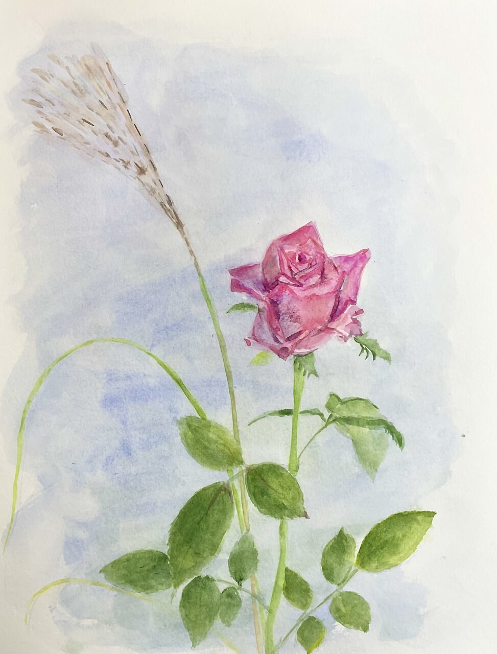 日本画水彩画⑭ Etude #14 (Fixed Window) by 清水 佳代子 Shimizu Kayoco