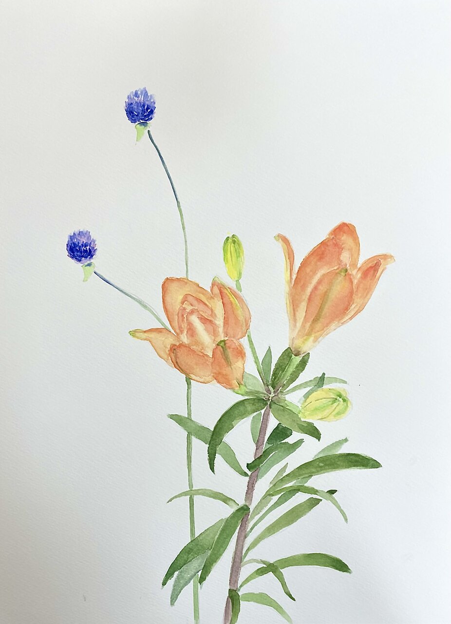 日本画水彩画② 8月25日 （月曜日） 夏 66 ✨✨✨自然の光の中で✨✨✨ 7/29は