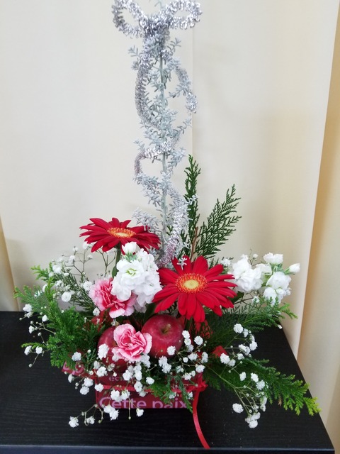 20181107_105440 (002)