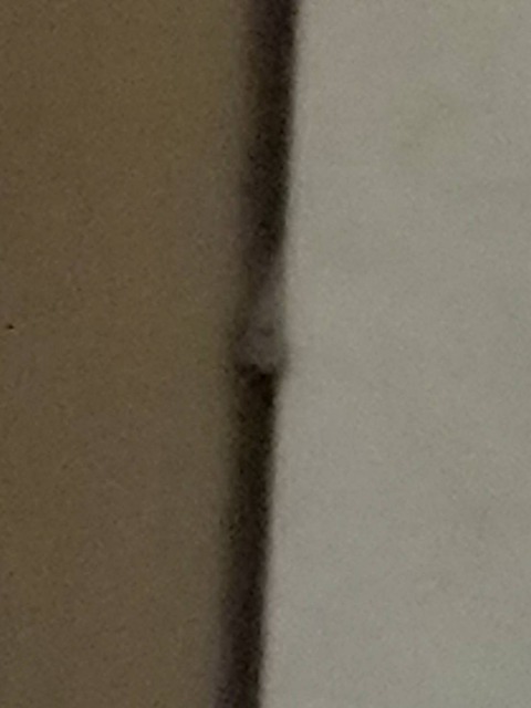 7292