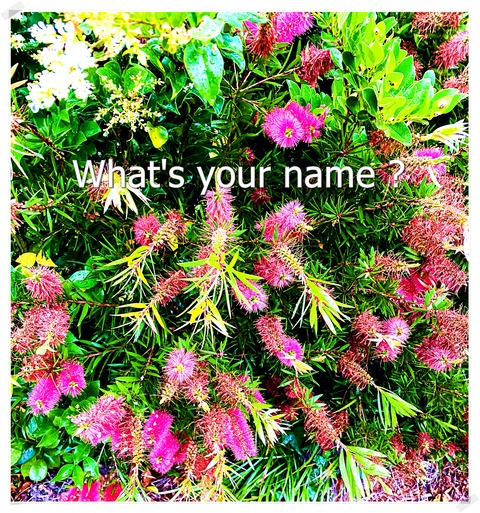 #3003
