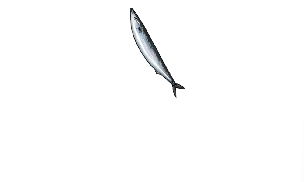 kancolle_20251110-215043442