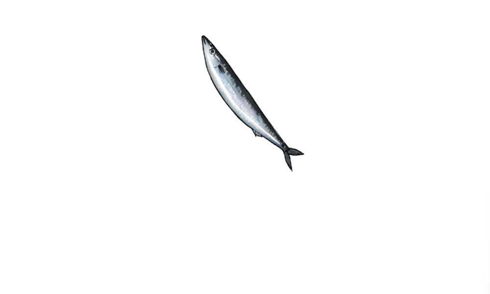 kancolle_20251111-205626322