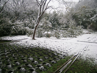 snow3
