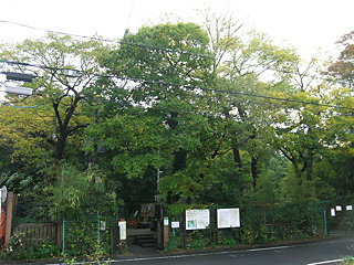 西門側の森