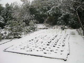 snow2
