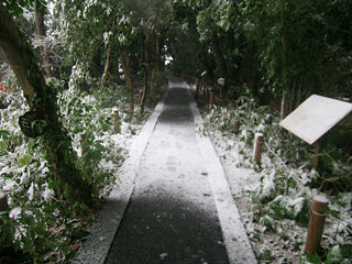 snow road