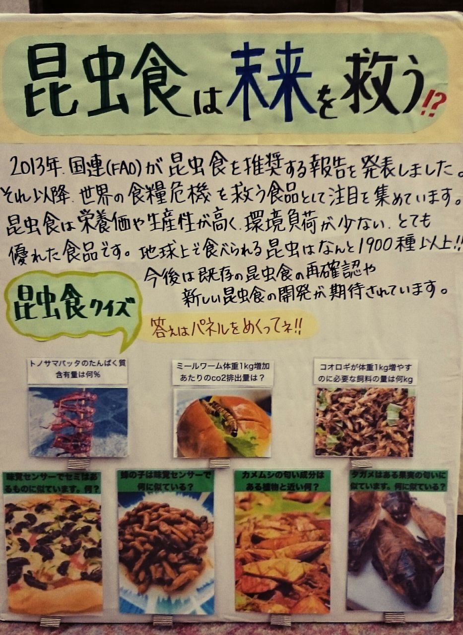 昆虫虫食べてきました 閲覧注意 Ikubeeの伊吹がなんか喋るブログ 昆虫虫食べてきました 閲覧注意 Ikubeeの伊吹がなんか喋るブログ