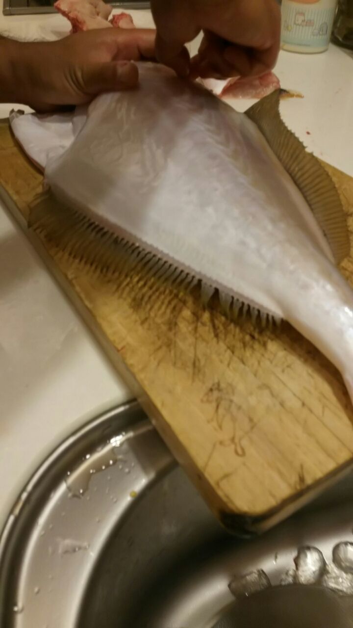 ウスバハギ わたしのたからもの ウスバハギ わたしのたからもの