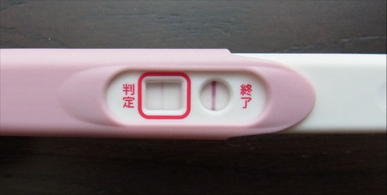 さて本当に妊娠するのか 後編 30代理系共働き夫婦の妊娠 子育て奮闘