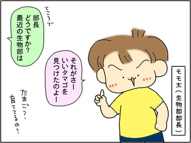 たまご1.jpg