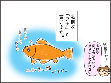 きんんぎょ4