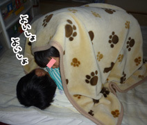 いくじょぶ！