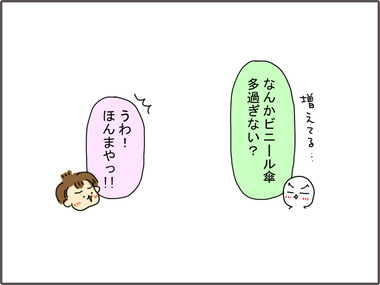 かさ31