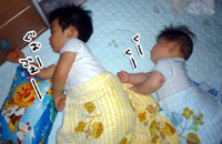 いやもうホント、兄貴と比べても、いかにモモちゃんが太っているのかっていう・・・（略）