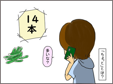 きゅうり41