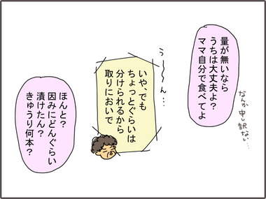 きゅうり3