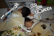 実写版：母ちゃんの枕を占領するブラザーズ