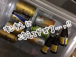 冷蔵庫10