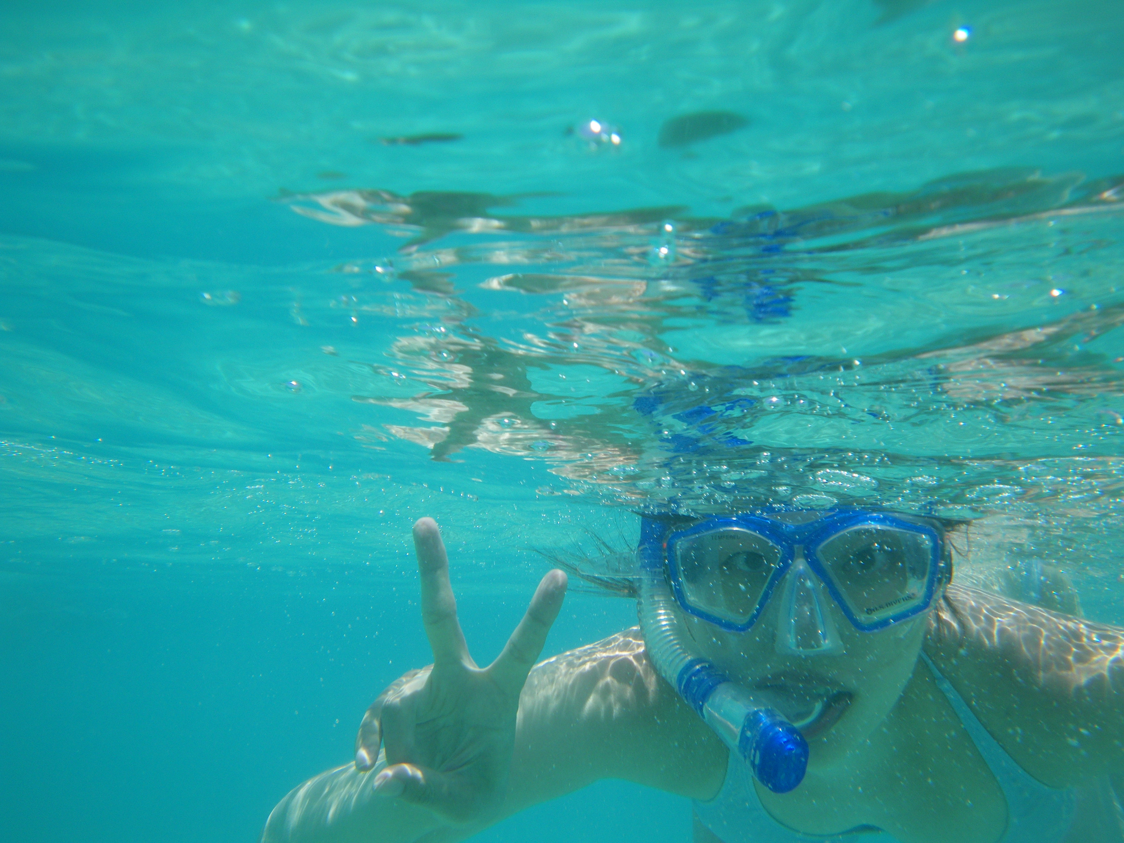 ハナウマ湾でシュノーケリング Hawaii日記