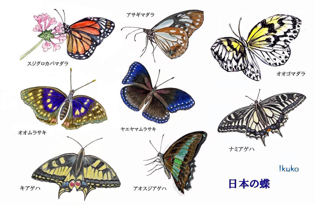19年09月18日 郁子のブログ 描いたり 撮ったり ｐｃやったり