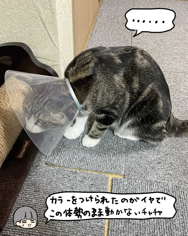 79_kainusininiru_picture_insta