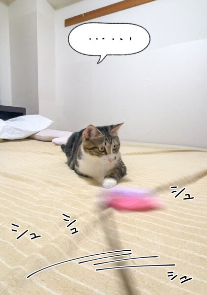 20241118_2
