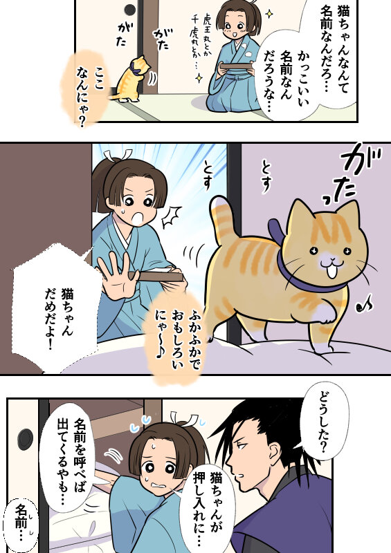 bushineko_5_2