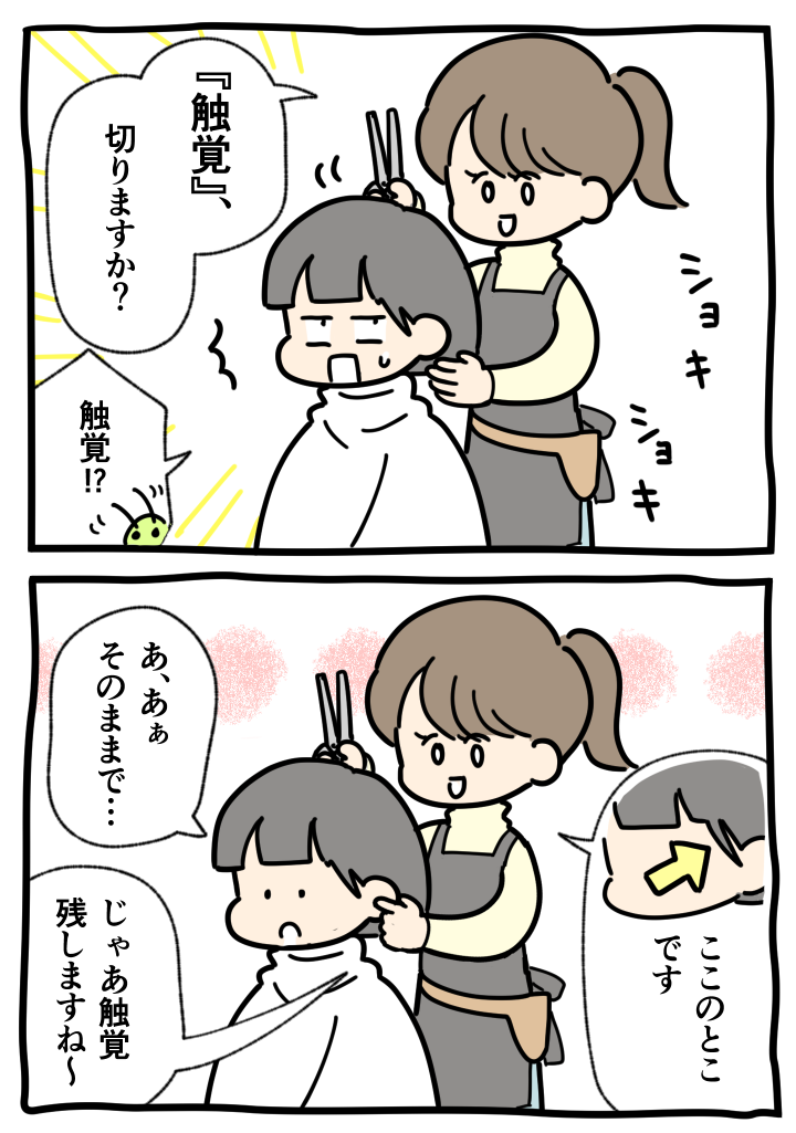 206_syokkaku1