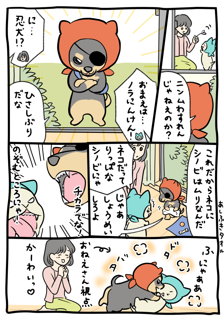 6-ninken